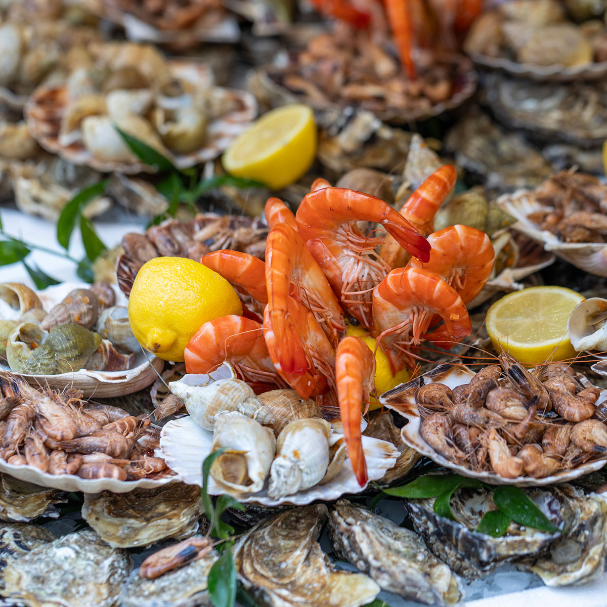 Votre poissonnerie à Braine-l’Alleud