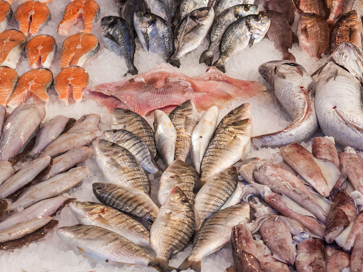 Poissonnerie Braine