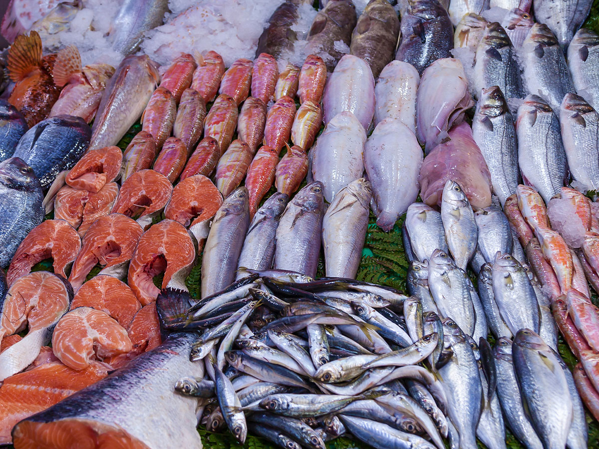Des arrivages frais à la Poissonnerie Braine
