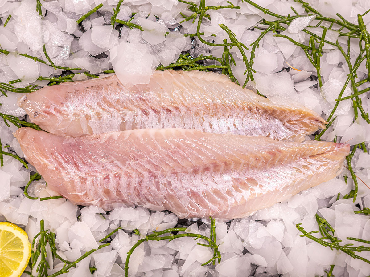 Nos filets de poisson