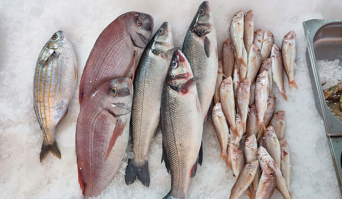 La mer se déplace jusqu’à chez vous