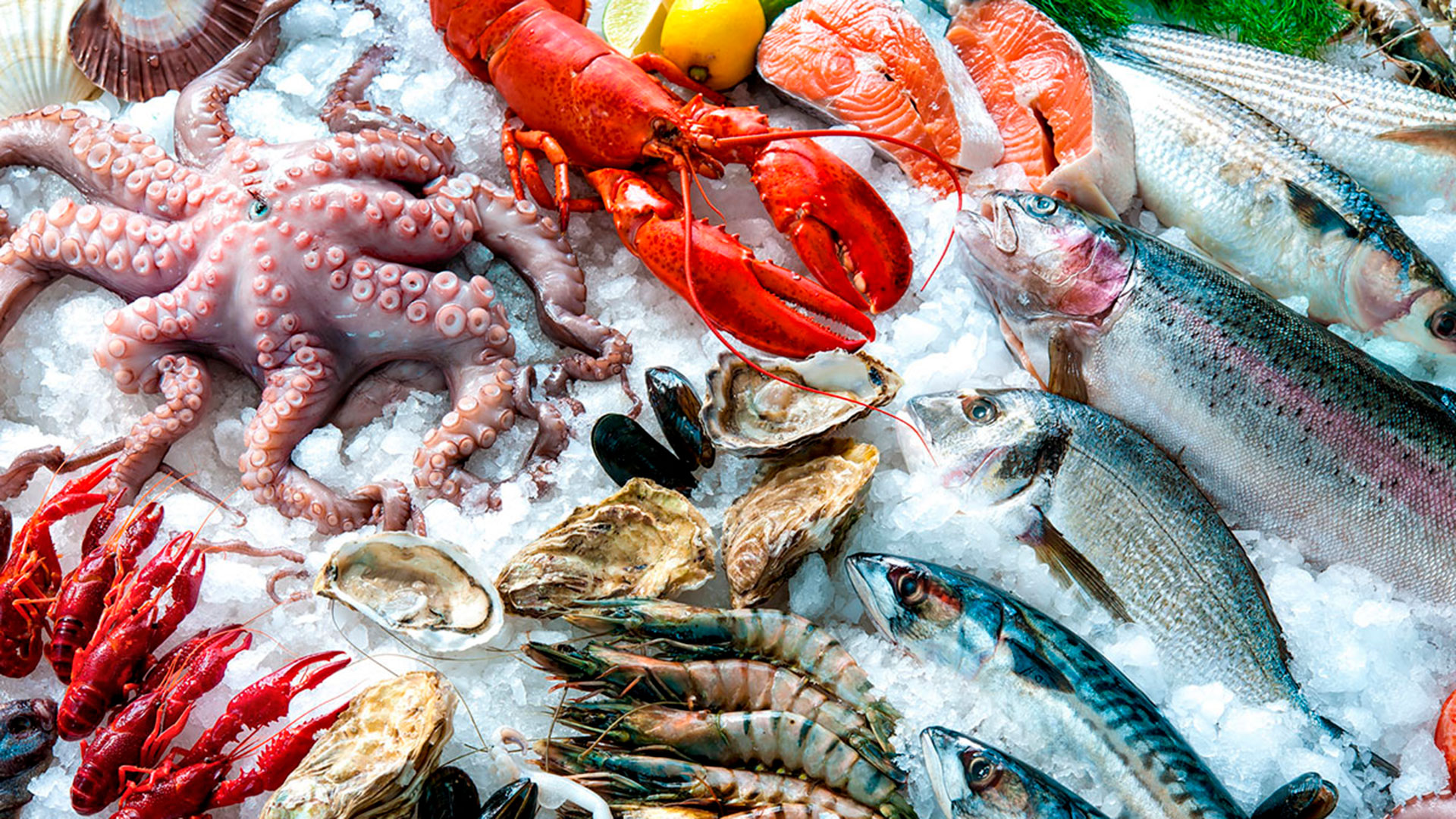Nos fruits de mer